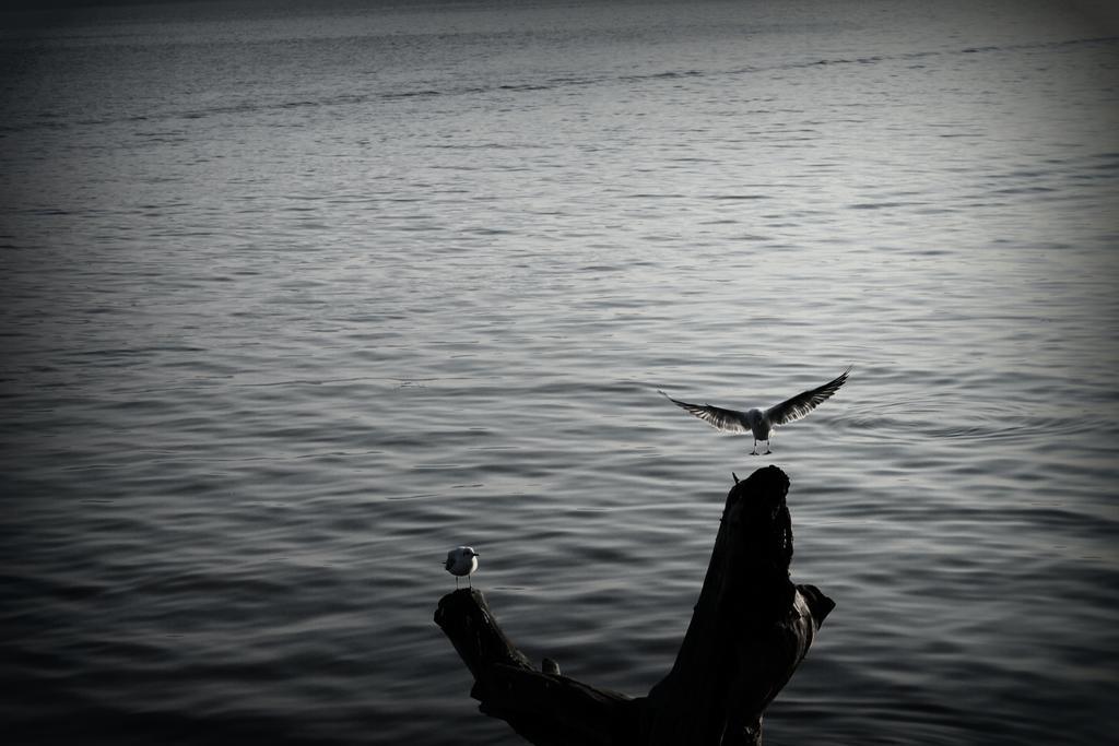Faik Bey Konagi Golyazi Bagian luar foto
